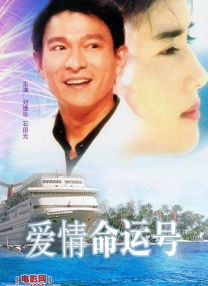 小猫视频大全搞笑可爱